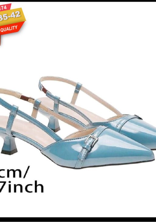 Elegant Female Shoe – MSB Exclusive